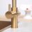 ETAL Cygne Pull-Out Style 3-in-1 Instant Boiling Water Kitchen Tap Brushed Brass
