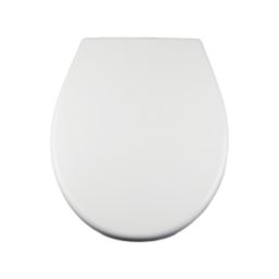 Swirl  Soft-Close with Quick-Release Toilet Seat Stainless Steel & Plastic White
