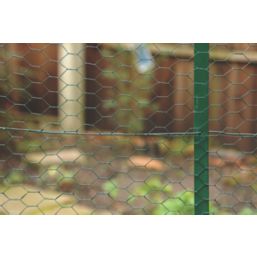 Apollo 25mm PVC Coated Wire Netting 0.5m x 10m Screwfix