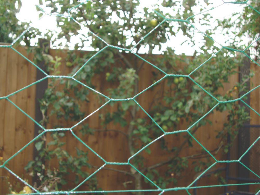 Apollo 25mm PVC Coated Wire Netting 0.5m x 10m