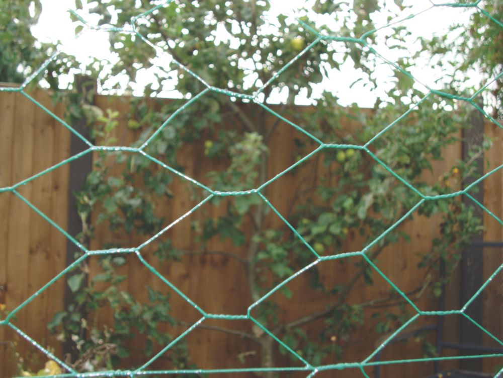 25mm Galvanised Steel Fox Proof Chicken Wire Mesh - The Mesh Company