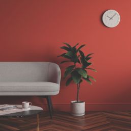 LickPro Max+ 5Ltr Red 02 Eggshell Emulsion  Paint