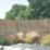 Forest  Double-Slatted  Fence Panels Natural Timber 6' x 6' Pack of 3