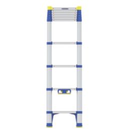 2.9 m store telescopic ladder