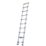 Werner  2.9m Telescopic Ladder
