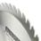 Erbauer  Wood Circular Saw Blade 165mm x 20mm 48T 1 Pieces