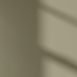 LickPro  5Ltr Green 19 Vinyl Matt Emulsion  Paint