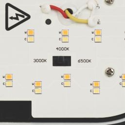 4lite Pylus Outdoor Oval LED Bulkhead Black 12W 1100lm