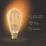 Calex  B22 ST64 LED Light Bulb Gold 250lm 4W