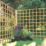 Forest  Softwood Square Trellis 6' x 6' 5 Pack