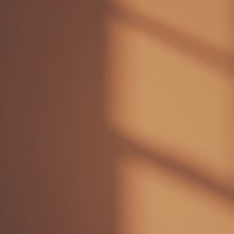 LickPro  2.5Ltr Orange 02 Vinyl Matt Emulsion  Paint