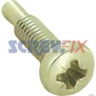 Vaillant S208308 Screw (M4x10mm)
