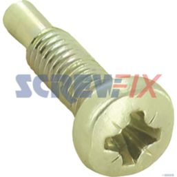 Vaillant S208308 Screw (M4x10mm)