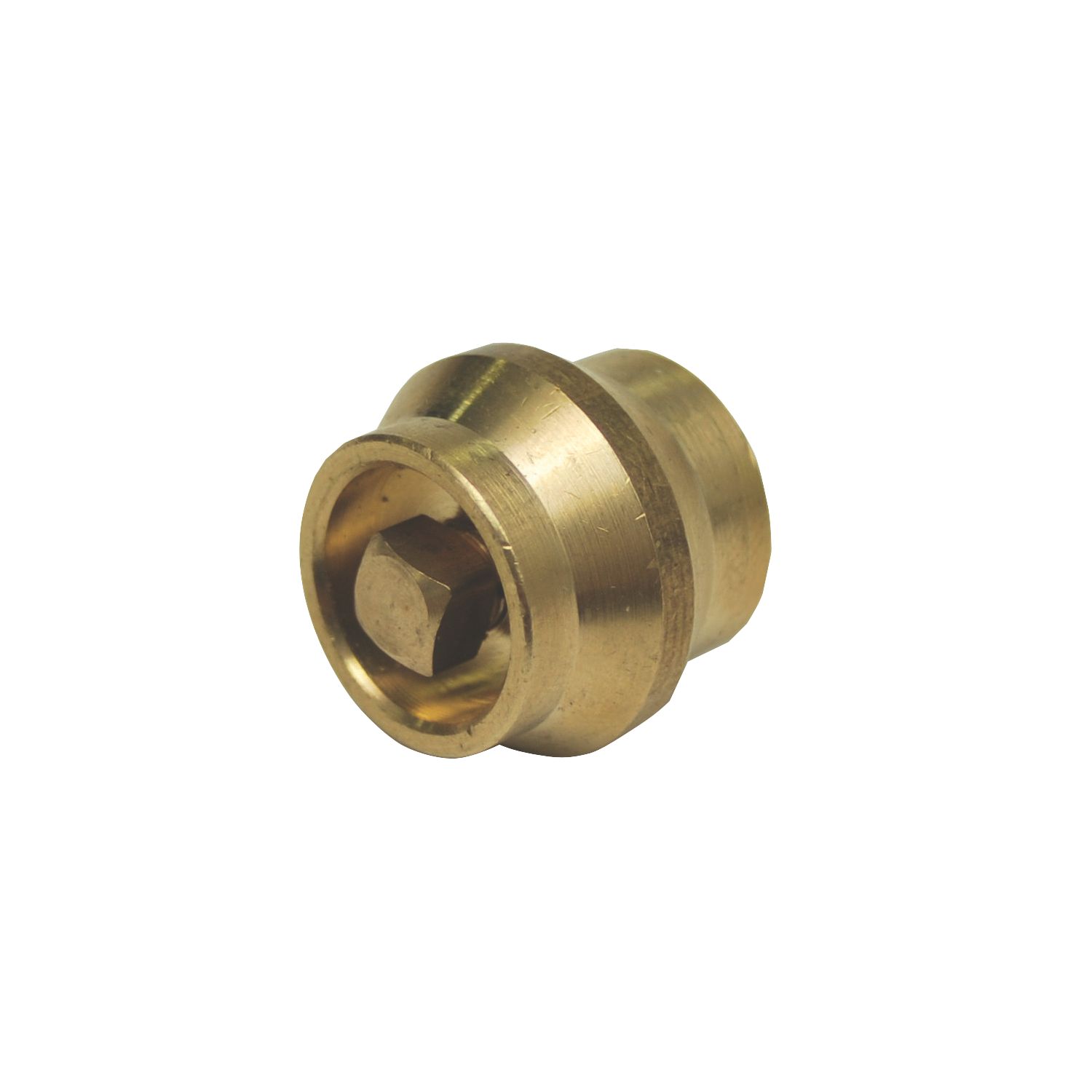 Essentials Brass Radiator Bleed Valve 2 Pack (7341V)