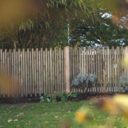 Forest  Picket Slatted Top Fence Panels Natural Timber 6' x 3' Pack of 3