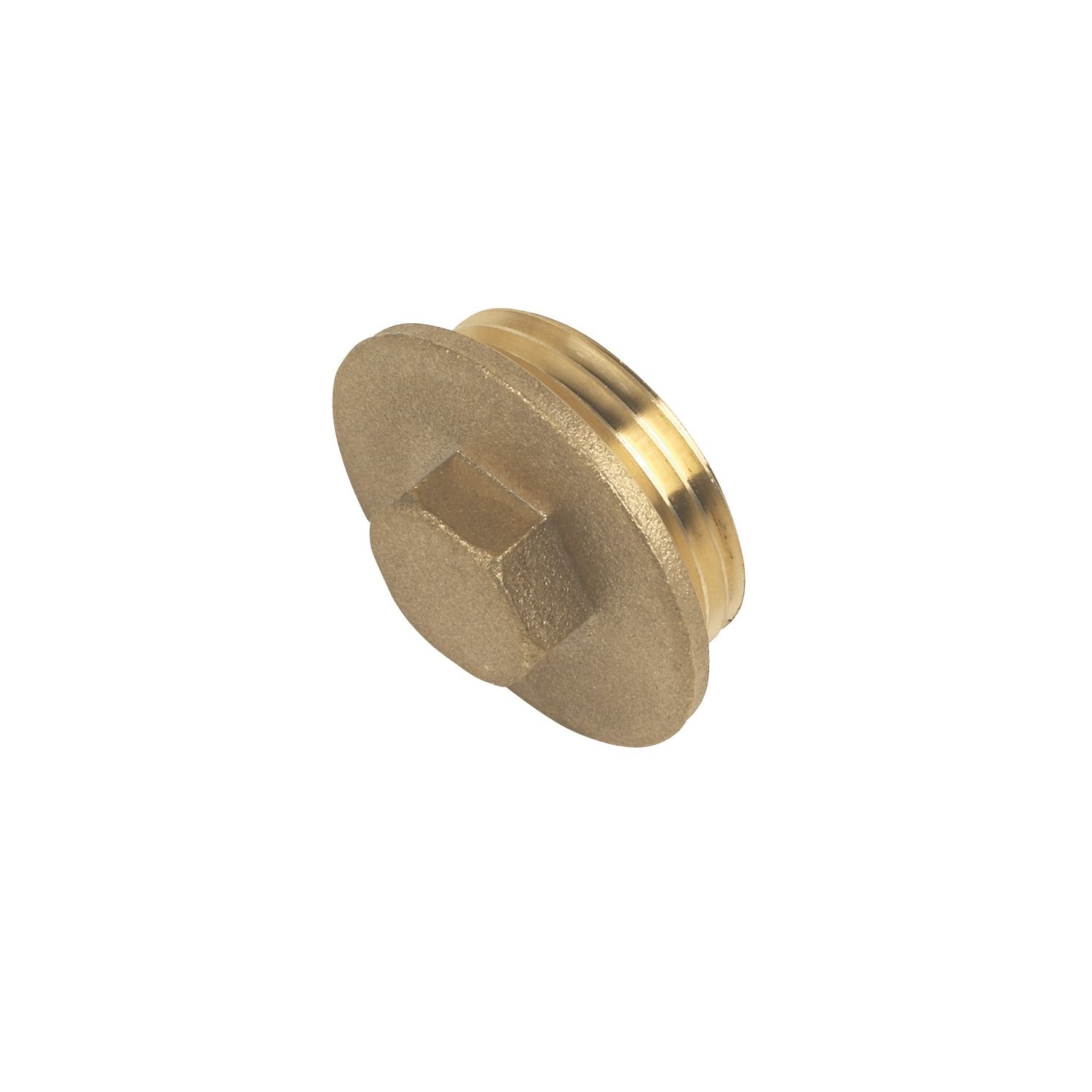Flomasta Male Flanged Plugs 1" x 2 Pack (74007)