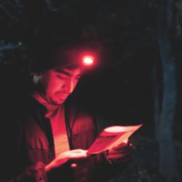 Nebo Einstein 1000 Flex Rechargeable LED Headlamp Graphite 350lm