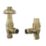 ETAL Ealing 15mm x 1/2" Brushed Brass Angled Traditional Thermostatic Radiator Valve & Lockshield