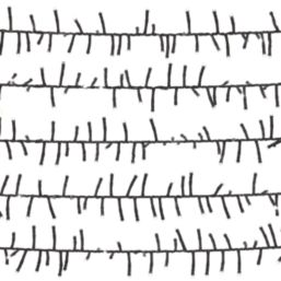 2000 LED Indoor & Outdoor Ice White Cluster Christmas Lights