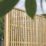 Forest   Trellis Garden Screen 6' x 6' 3 Pack