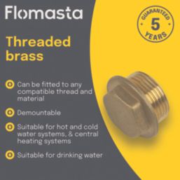 Flomasta Male Flanged Plug 1/4" x