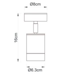 Saxby Odyssey Outdoor Wall Light Brushed Stainless Steel