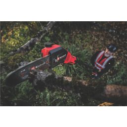 Einhell Professional GP-LC 18/20 Li T BL-Solo 18V Li-Ion Power X-Change Brushless Cordless 20cm Pole Saw - Bare