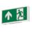 4lite  Maintained or Non-Maintained Emergency LED Exit Box with Up, Down, Left & Right Arrow 3.5W 10lm