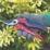 Spear & Jackson Bypass  Razorsharp Secateurs 8" (205mm)
