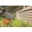 STIHL  FSA 45 18V 1 x 36Wh Li-Ion AI Line  Cordless Grass Trimmer