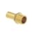 Hep2O  Brass Push-Fit Adapting Male Coupler 22mm x 3/4"