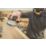 DEWALT DCW211N-XJ 125mm 18V Li-Ion XR Brushless Cordless Random Orbital Sander - Bare