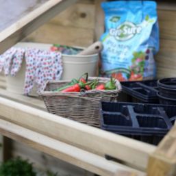 Forest  4' x 2' (Nominal) Timber Greenhouse