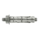 Rawlplug Projecting Rawlbolts M12 x 170mm 5 Pack