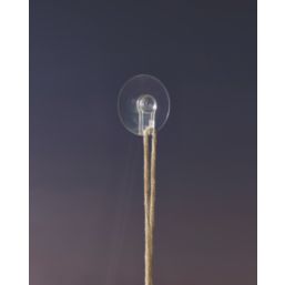 Suction Hooks Clear 15 Pack