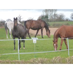 Stockshop SX250 Solar-Powered Electric Fence Energiser Battery-Powered