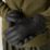 Regatta Transition Gloves Black - 800 Large / X Large 1 Pair