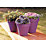 Ronseal Garden Paint Matt Purple Berry 0.75Ltr