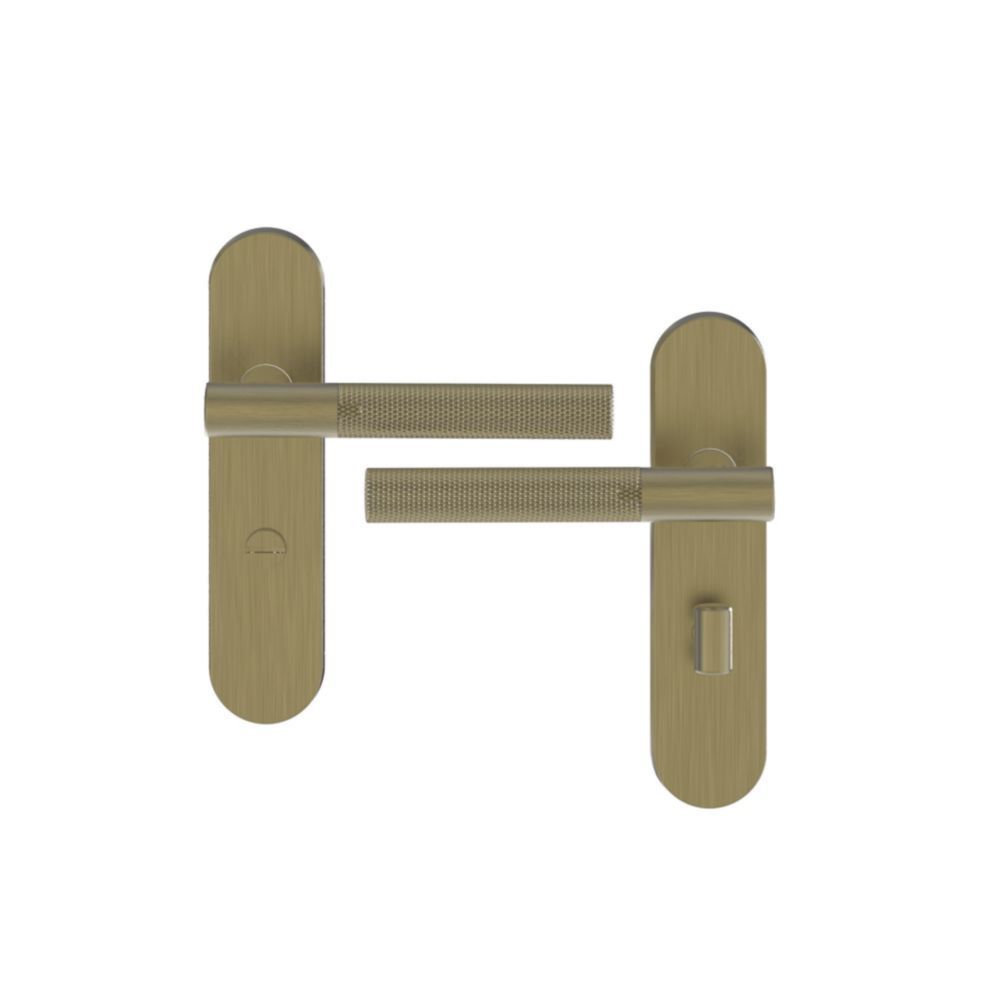 Cooke & Lewis Damgan WC Lever on Backplate Door Handles Pair
