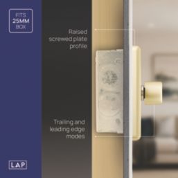 LAP  1-Gang 2-Way LED Dimmer Switch  Satin Brass with Black Inserts