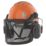 JSP EVOGuard M2  Forestry Helmet System with Ear Defenders & Visor