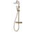 Triton  Rear-Fed Exposed Brushed Brass Thermostatic Mixer Diverter Shower