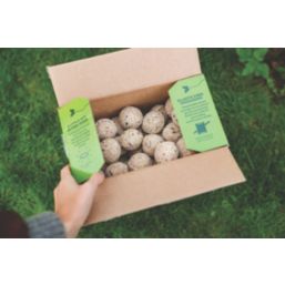 Westland Peckish Complete Energy Balls Wild Bird Food 4kg 50 Pack