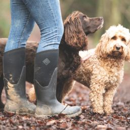 Muck boots outlet field and stream