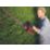 Einhell GE-CH 18/60 Li-Solo 3410930 67cm 18V Li-Ion Power X-Change  Cordless Hedge Trimmer - Bare