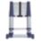 Xtend+Climb ProSeries S2 3.2m Telescopic Ladder