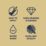 LickPro Max+ 1Ltr Yellow 09 Matt Emulsion  Paint