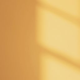 LickPro  5Ltr Yellow 03 Vinyl Matt Emulsion  Paint