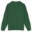 Pro RTX  Sweatshirt Bottle Green Small 35 / 37" Chest