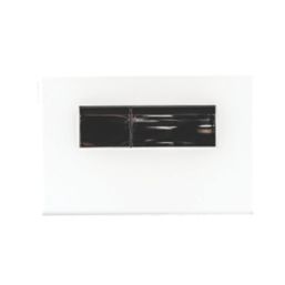 Fluidmaster Vivente Dual-Flush T-Series Activation Plate White Glass
